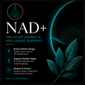 Nad+-500mg