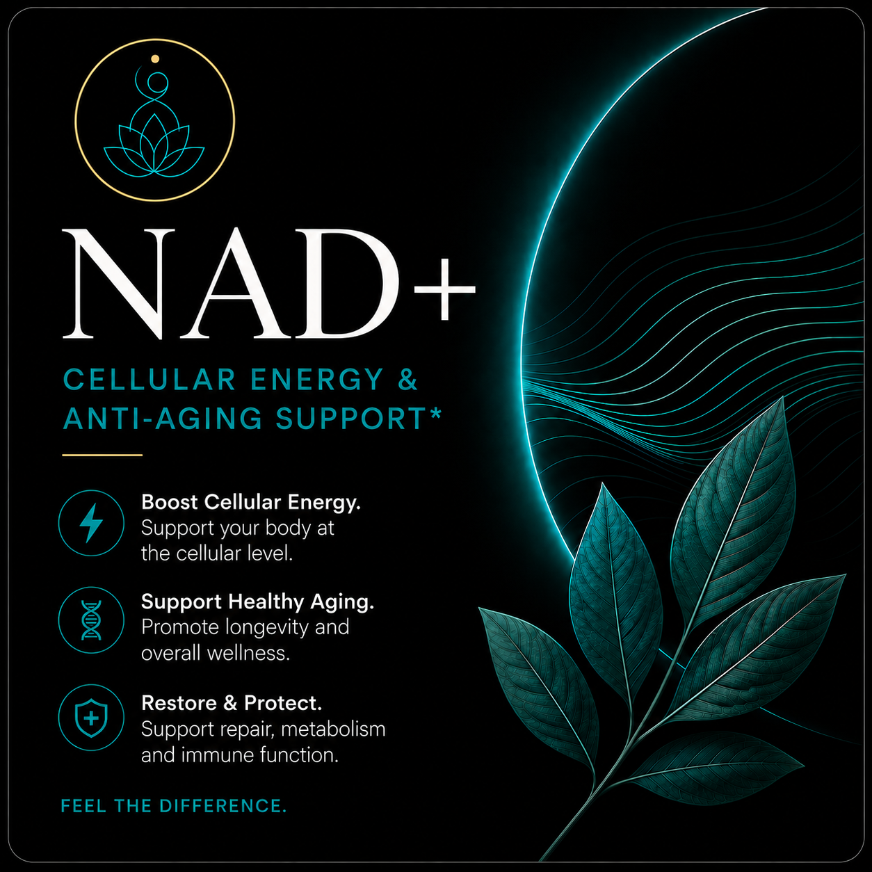 Nad+-500mg